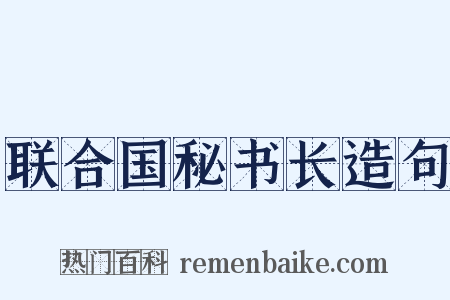 联合国秘书长造句是什么意思的图片
